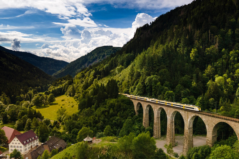 From Basel: Day trip Black Forest culture and indulgence