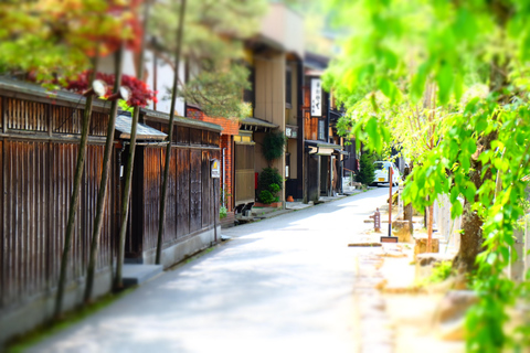 Desde Nagoya: Excursión de un Día a Gujo, Hida Takayama y Shirakawa-go