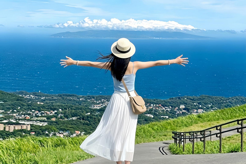 Small Group Day Tour:Omuro Mountain & the Izu Scenic Railway Hotel Transfer Option