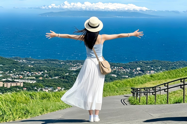 Small Group Day Tour:Omuro Mountain & the Izu Scenic Railway Hotel Transfer Option