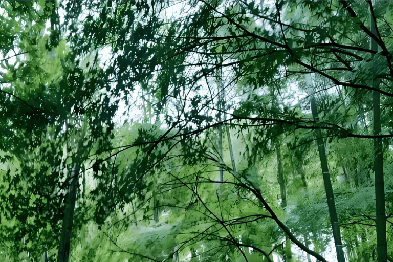 Hangzhou: Private Day Trip with Tea Picking & Hanfu … 2 people in a group with English explanation