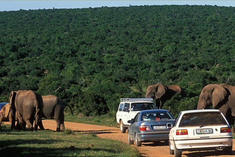 2 Day Hluhluwe Imfolo & Isimangaliso W/Park Tour from Durban
