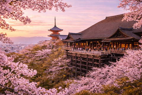 Private Shore Tour:Osaka, Kyoto, Nara, Kobe & Himeji
