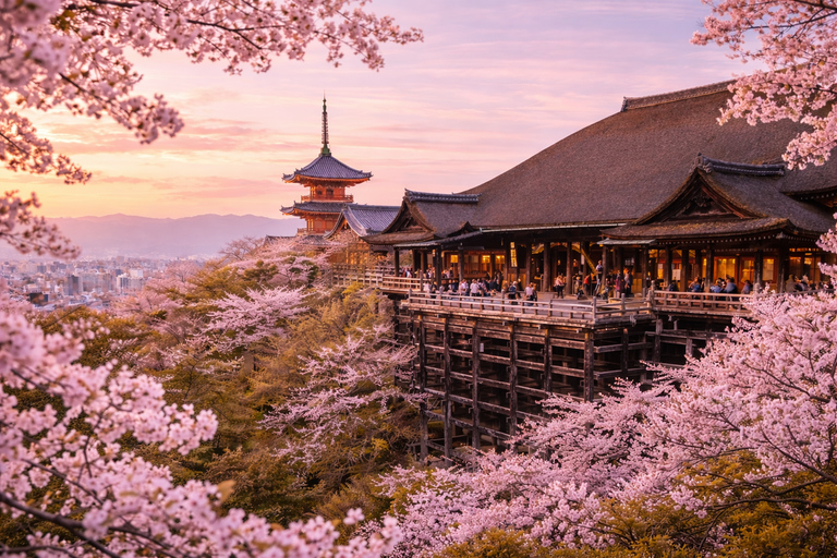 Private Shore Tour:Osaka, Kyoto, Nara, Kobe & Himeji