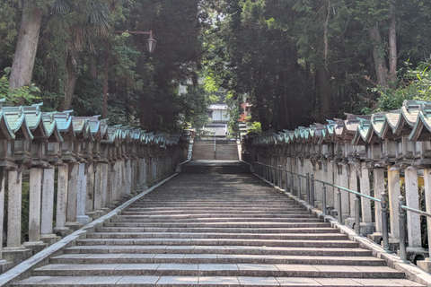 From Osaka: Horyuji Temple and Mount Ikoma Day Tour
