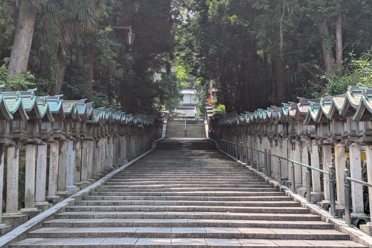 From Osaka: Horyuji Temple and Mount Ikoma Day Tour