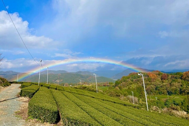 YokaBus Heritage in a Cup Yame Tea & Sake Tasting Expedition