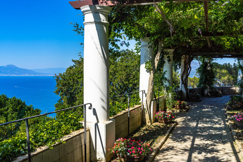 Au départ de Sorrente : Capri, Anacapri et la Grotte bleue (journée complète)