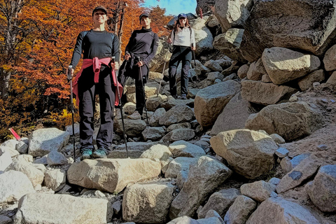 Torres del Paine: Aventura Express (2 dias)