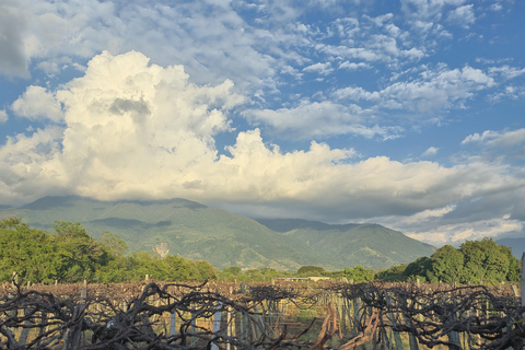 E-bike Tour: Discover the Cultural and Wine Heritage of Santa Elena Valle Santa Elena Valle Cultural and Wine Heritage E-bike Tour