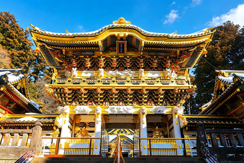 Nikko Small Group: Hotel Pickup, Kegon Falls & Toshogu Private Sightseeing Tours