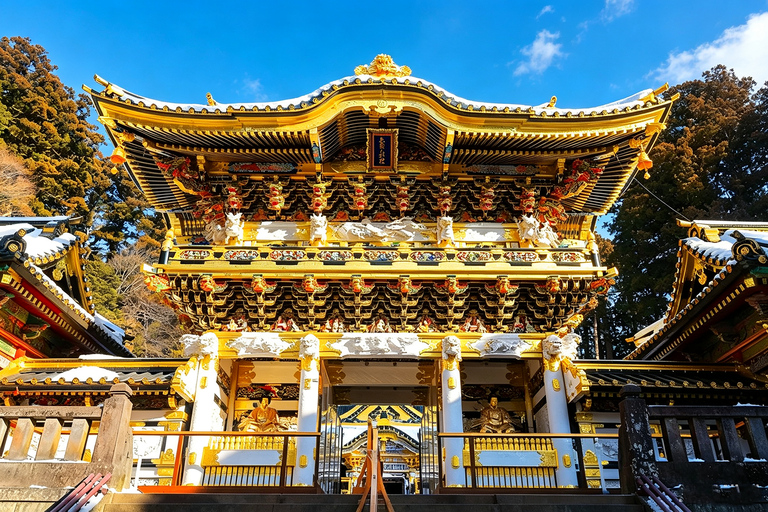 Nikko Small Group: Hotel Pickup, Kegon Falls & Toshogu Private Sightseeing Tours