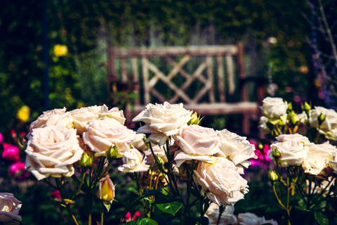 Arcen: Palace Gardens Tickets
