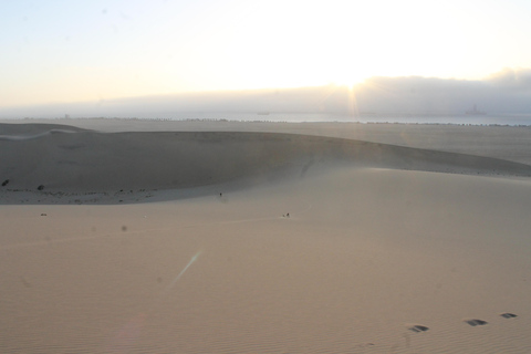 Swakopmund: Sandboarding and Lagoon Kayaking Combo Tour