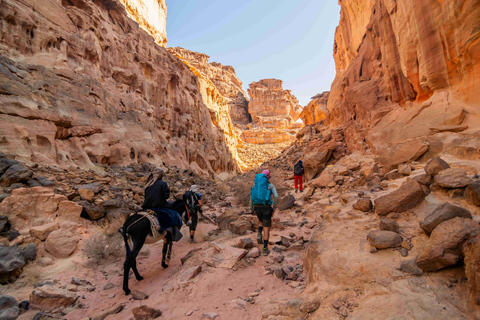 Petra to Wadi Rum Hiking Tour (7 Days) | All-Inclusive