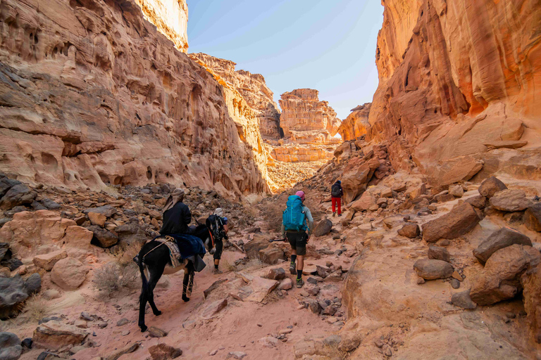Petra to Wadi Rum Hiking Tour (7 Days) | All-Inclusive