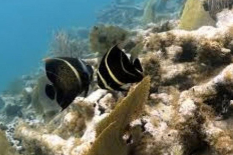 Private:Catalina Island All-Inclusive Adventure