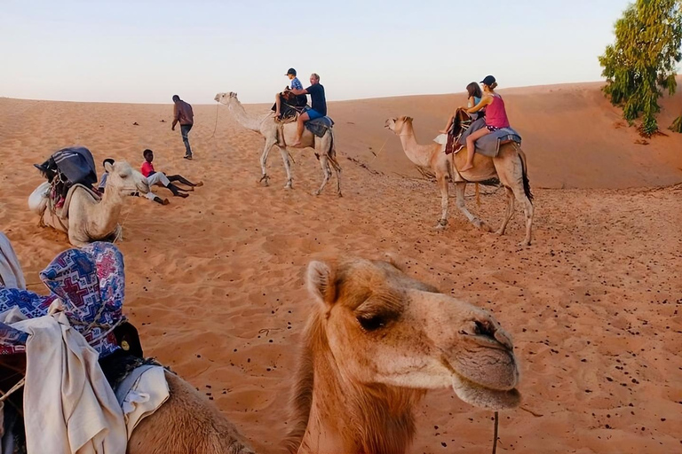 Lompoul Desert: Guided Walk And Overnight Stay In The Desert
