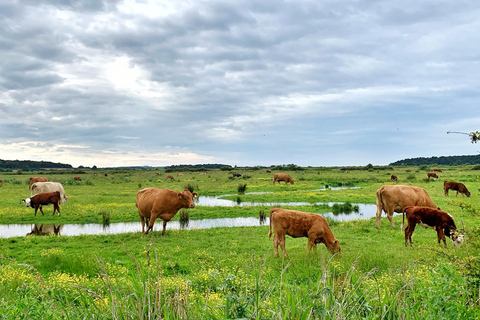 From Cambridge: Guided day trip to the North Norfolk Coast