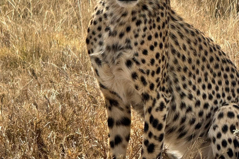 Zanzibar: Mikumi National Park Safari with Flight