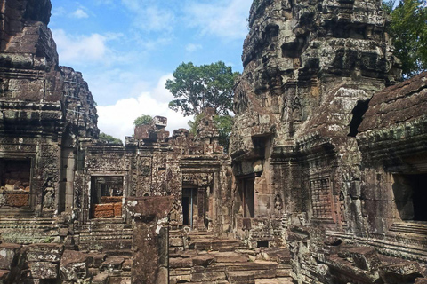 Siem Reap: tour guidato di 4 ore a Ta Prohm e Banteay Kdei