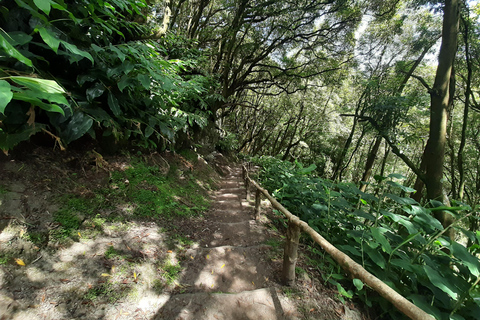 São Miguel: Moinho do Felix-Wanderung mit Besuch der Teefabrik