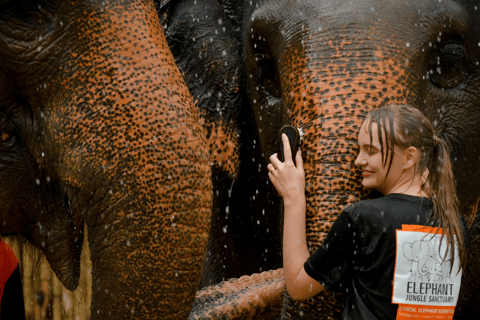 Depuis Phuket : Visite du Sanctuaire de la Jungle des Eléphants - Nourriture et Douche