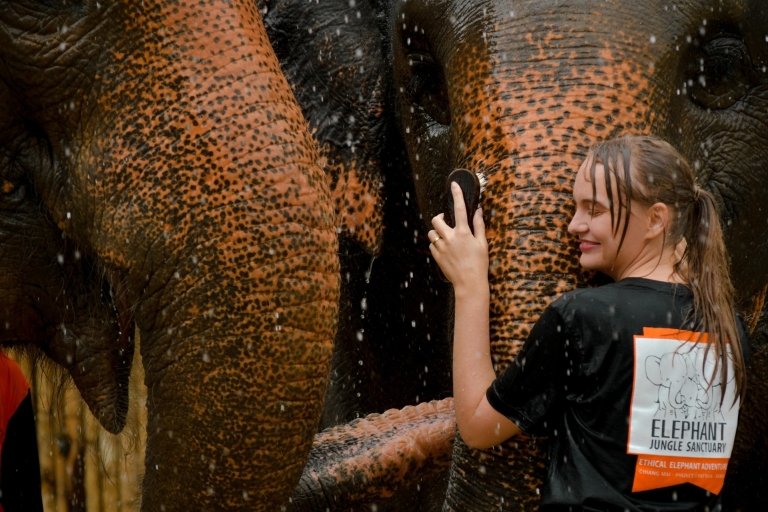 Desde Phuket: Viaje al Santuario de la Selva de los Elefantes: Alimentación y Ducha