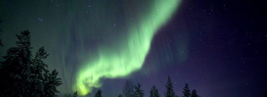 Inari/Ivalo: tour in auto a caccia dell'aurora con bevande calde