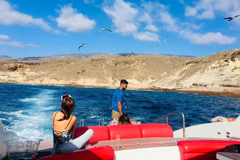 Tenerife: Opera 60 Whale & Dolphin Cruise with Lunch