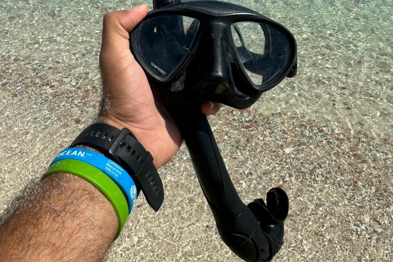 diymaniyat Snorkelling (swim whalesharks or turtles)