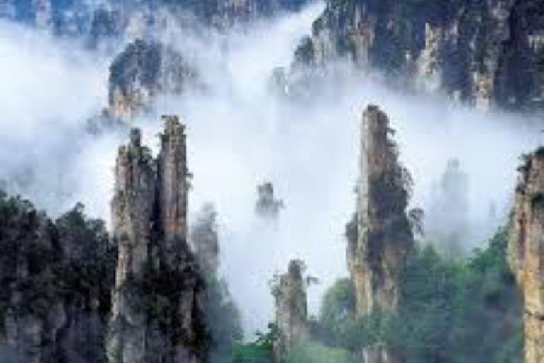 Zhangjiajie National Park: Private Avatar Mountains Tour English-speaking guide