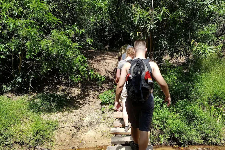 Diani: Guided day trip to Shimba Hills Reserve with lunch