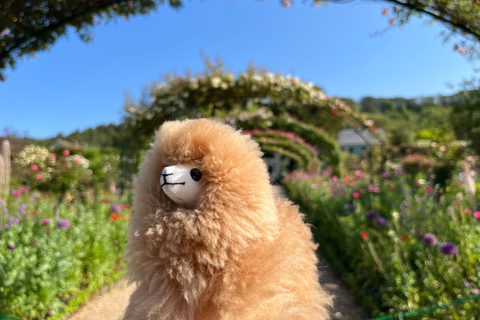 Excursão de 1 dia a Giverny e Versalhes em carro de luxo