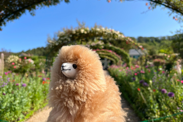 Tour di un giorno a Giverny e Versailles in auto di lusso