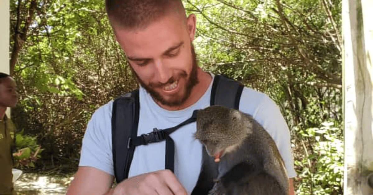 Zanzibar: Monkey Zoo Guided Tour | GetYourGuide