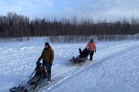 Fairbanks, Alaska: Tag Sled Dog Mushing Experience