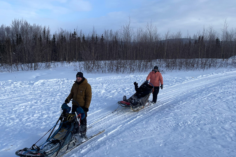 Fairbanks, Alaska: Tag Sled Dog Mushing Experience