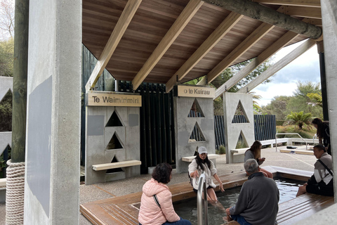 DESDE ROTORUA: TOUR DE MEDIO DÍA POR EL PAÍS DE LAS MARAVILLAS GEOTÉRMICAS DE WAI-O-TAPU