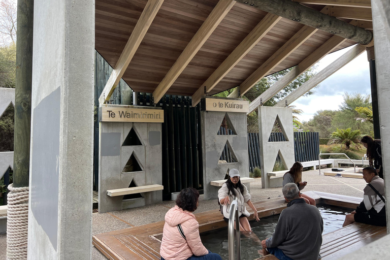 DESDE ROTORUA: TOUR DE MEDIO DÍA POR EL PAÍS DE LAS MARAVILLAS GEOTÉRMICAS DE WAI-O-TAPU