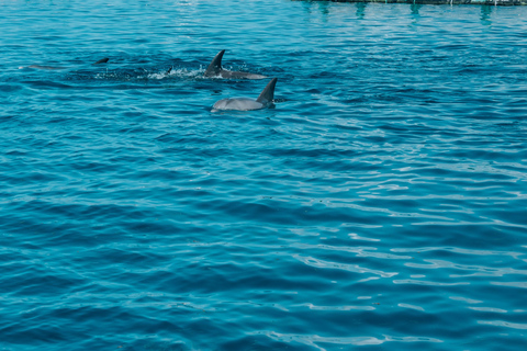 Trou D&#039;Eau Douce: Wycieczka po 5 wyspach Mauritiusa z lunchem/napojami
