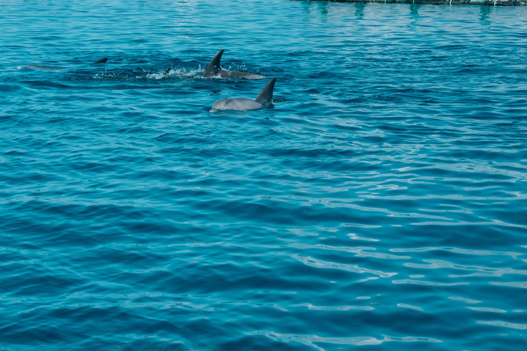 Trou D&#039;Eau Douce: Wycieczka po 5 wyspach Mauritiusa z lunchem/napojami