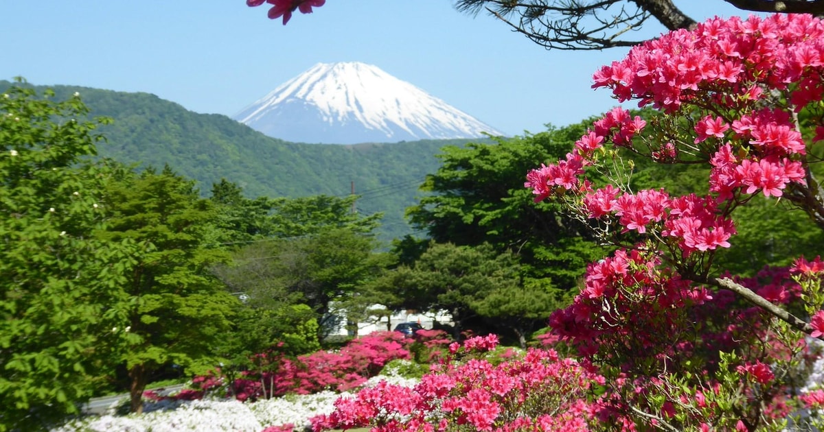 vista monte fuji da hakone
