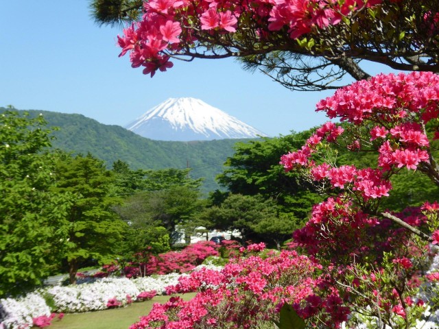 Mount Fuji & Hakone Tour