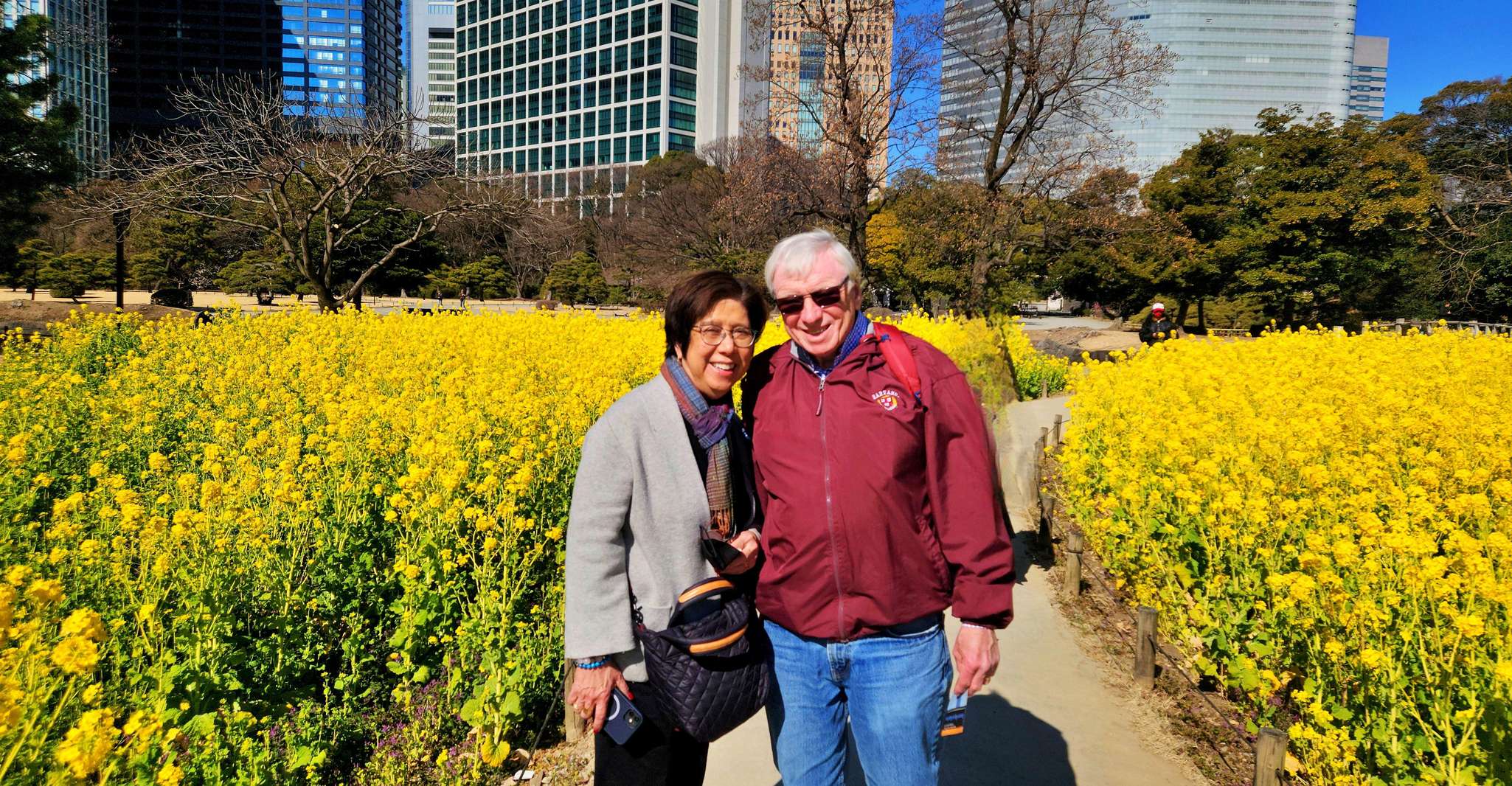 Tokyo: Private & Customizable Tour - All-in-One Experience