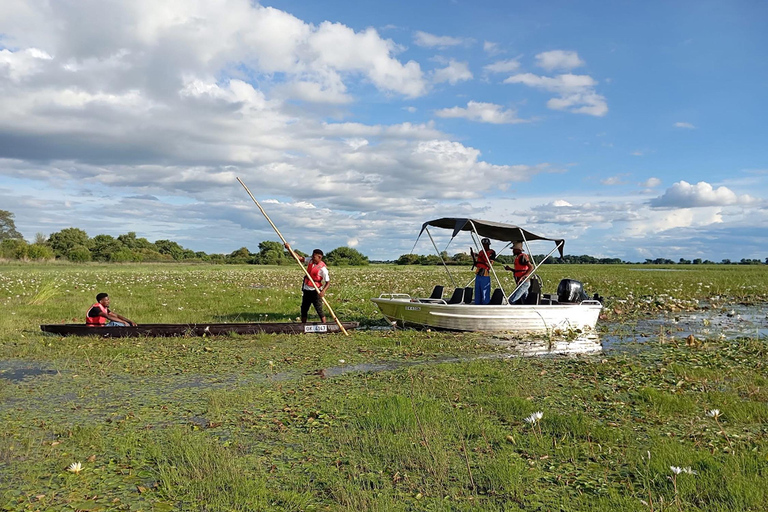 Shakawe: safari de 3 días por el este del OkavangoShakawe: Safari de 3 días por el este del Okavango