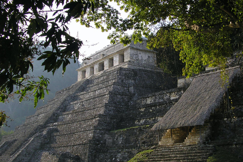 Palenque: Führung durch die archäologische Zone