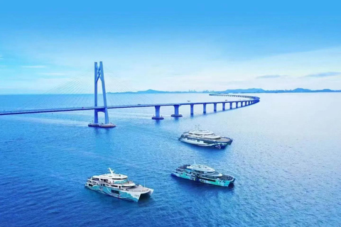 Shenzhen: Shekou Cruise with Buffet & City Walk with Guide