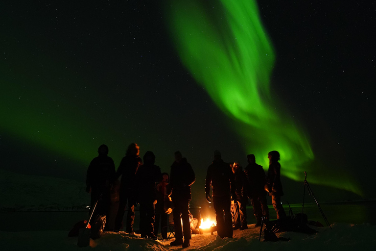 Tromsø: Northern Lights Tour – Unlimited Chase & Free Photos 6-8 Hours, Aurora chase, Comfortable bus, Photos included
