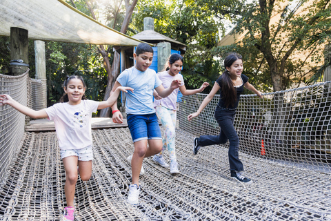 Miami: Dschungelinsel Allgemeiner Eintritt